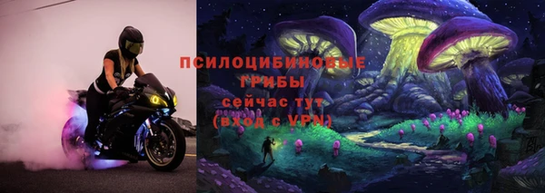 шишки Киреевск