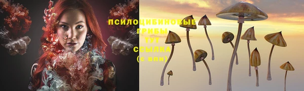 шишки Киреевск