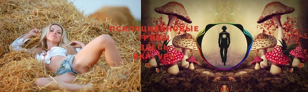 шишки Киреевск
